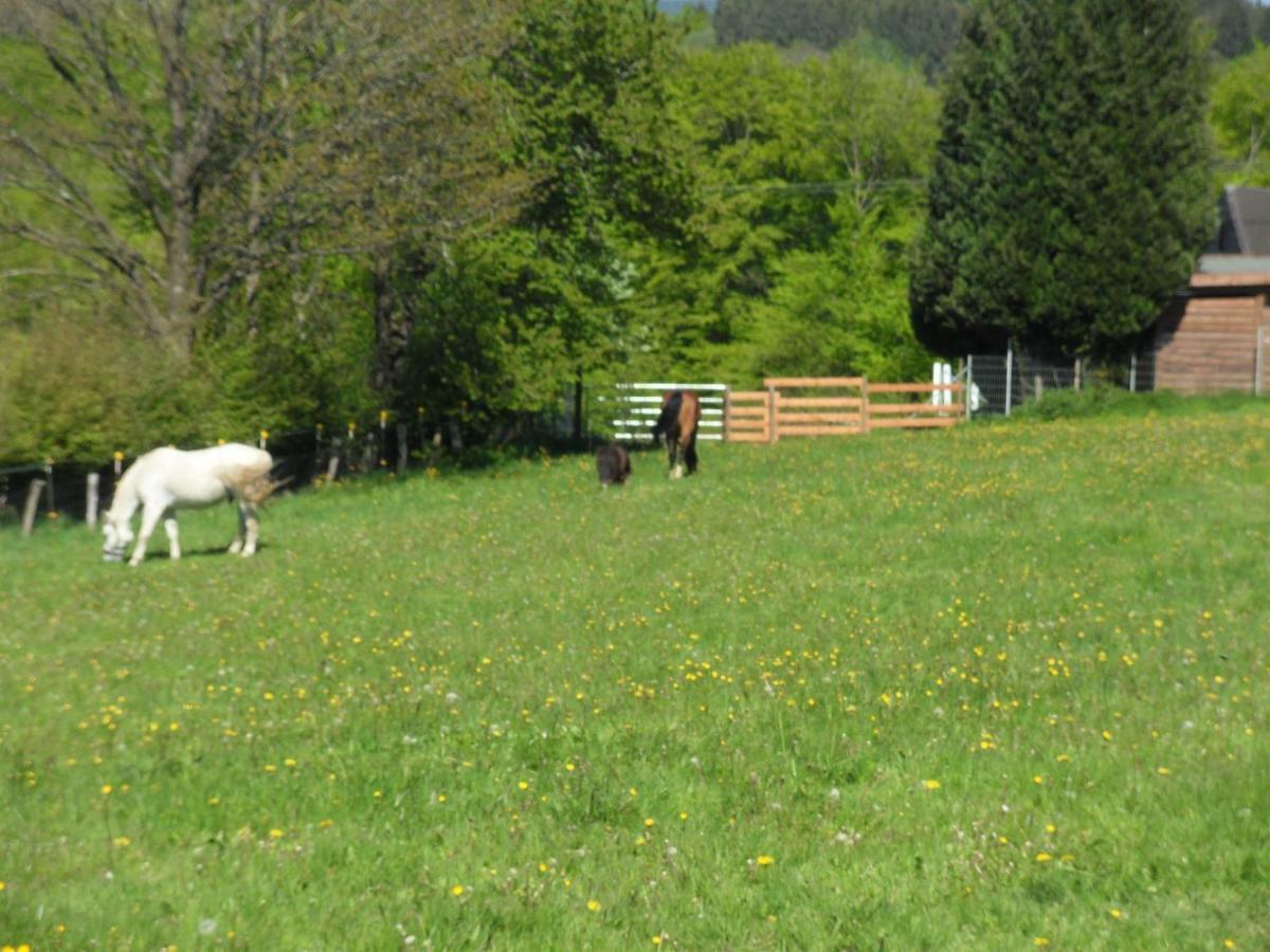 Nettes Landhaus Winterspelt Esterno foto
